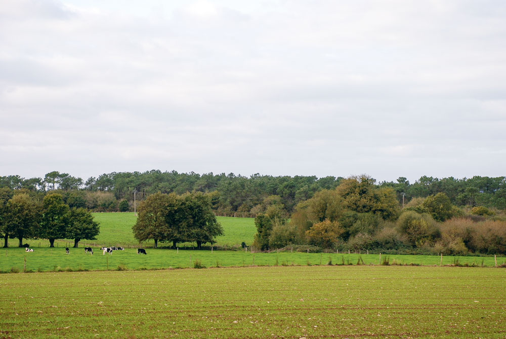 Droit de reprise du bailleur rural