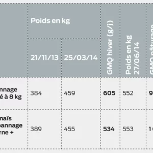 Tableau 2 : les performances obtenues.