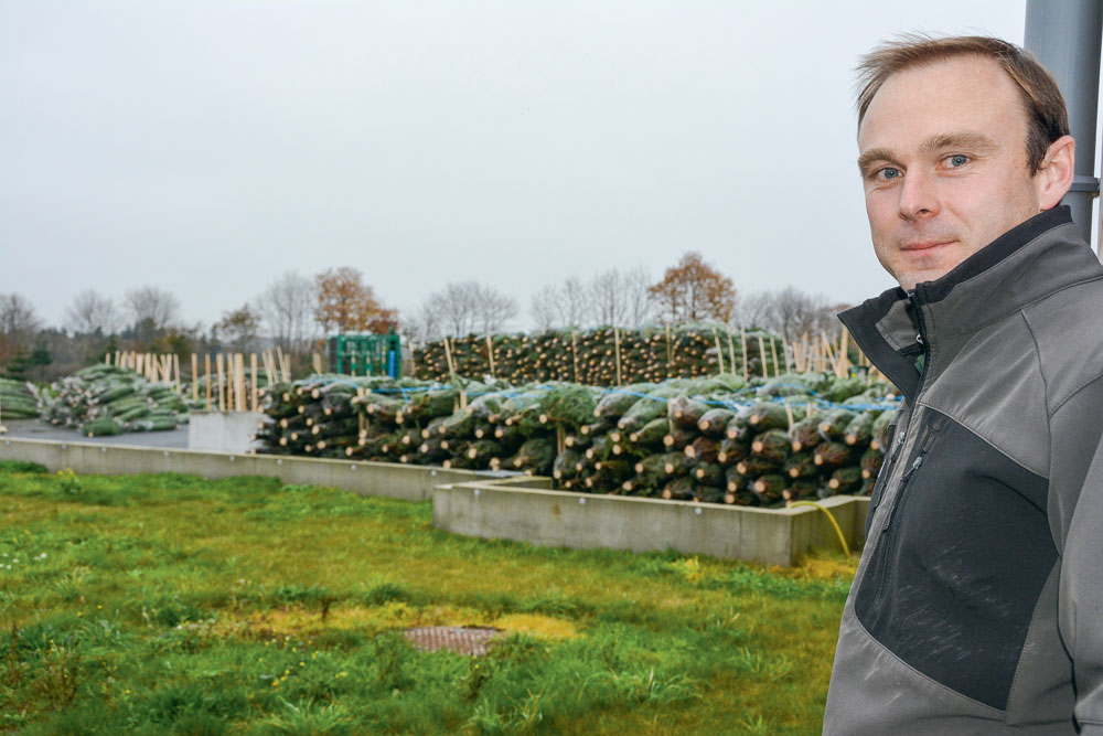gildas-le-foll-exploitation-sapins - Illustration Sapins : le roi des forêts se cultive en centre-Bretagne