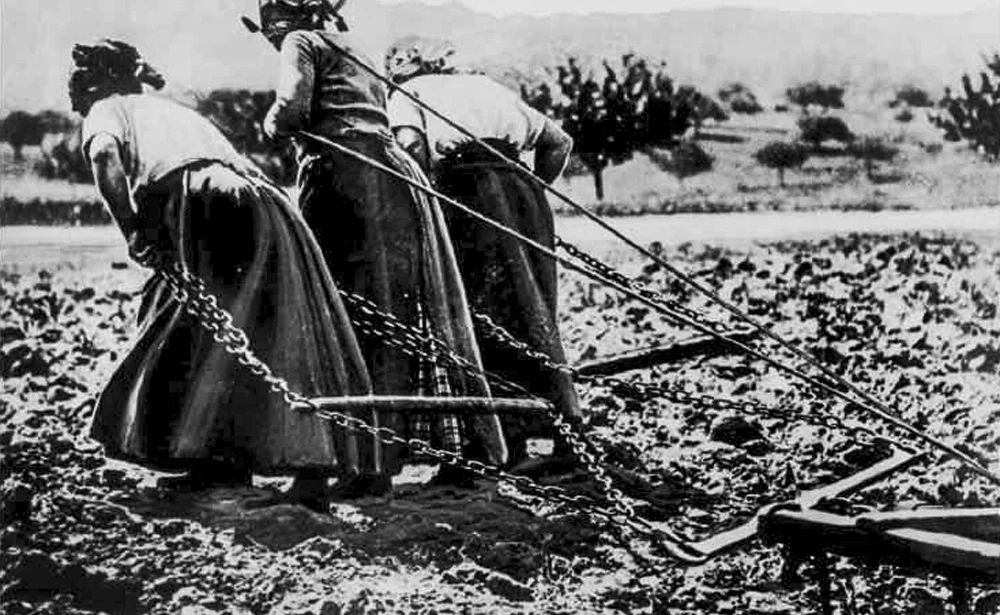 Dans les champs, les femmes ont pris la place des hommes - Illustration Les paysannes, ces héroïnes oubliées de la guerre 14-18