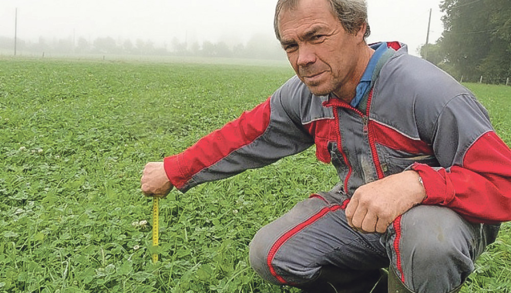 herbe-valeur-alimentaire - Illustration Optimiser les valeurs alimentaires de l’herbe d’automne