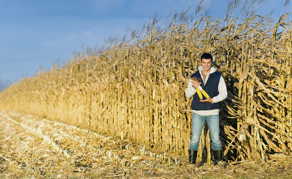 installation-jeunes-agriculteurs-pac - Illustration Le nombre d’installations aidées a augmenté de 20% en trois ans