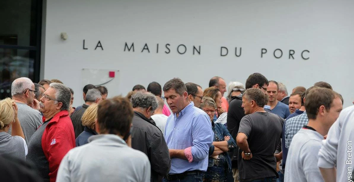 maison-du-porc - Illustration Le marché du porc de ce jeudi 13 août repoussé au lendemain ?