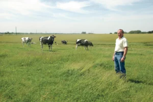 marcel-gruel-lait-herbe-vache-laitiere