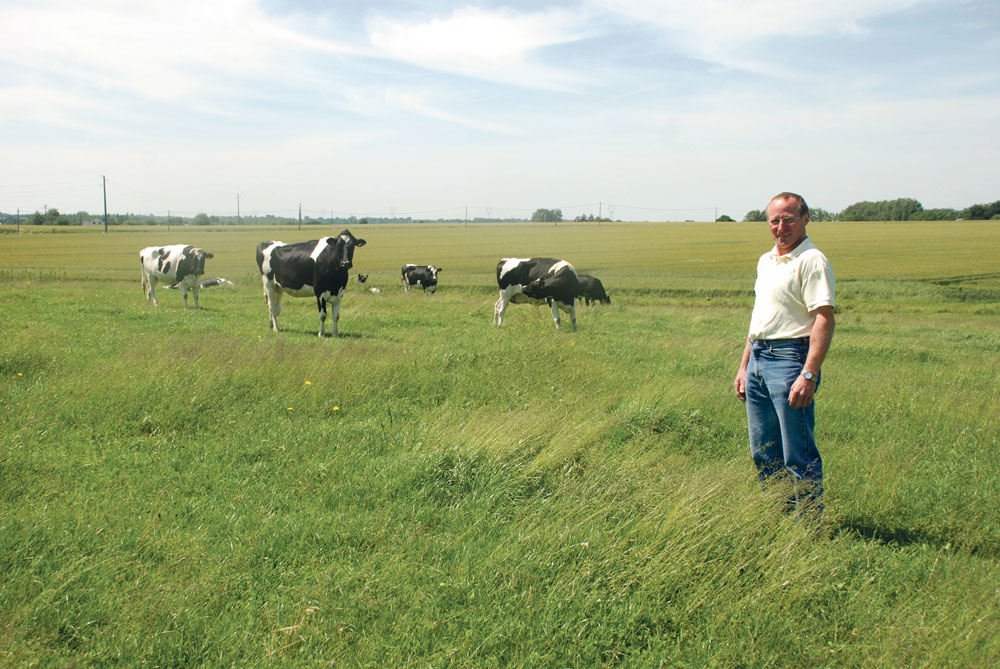 marcel-gruel-lait-herbe-vache-laitiere - Illustration De l’herbe intensifiée et diversifiée