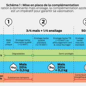 Mise en place de la complémentation