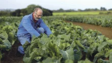 pierre-bihan-poudec-producteur-legume-evolution-agricole