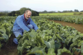 pierre-bihan-poudec-producteur-legume-evolution-agricole