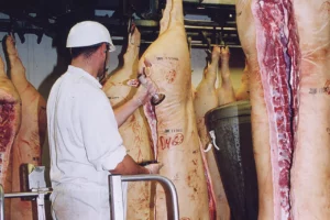 porc-abattoir-crp-embargo-russe