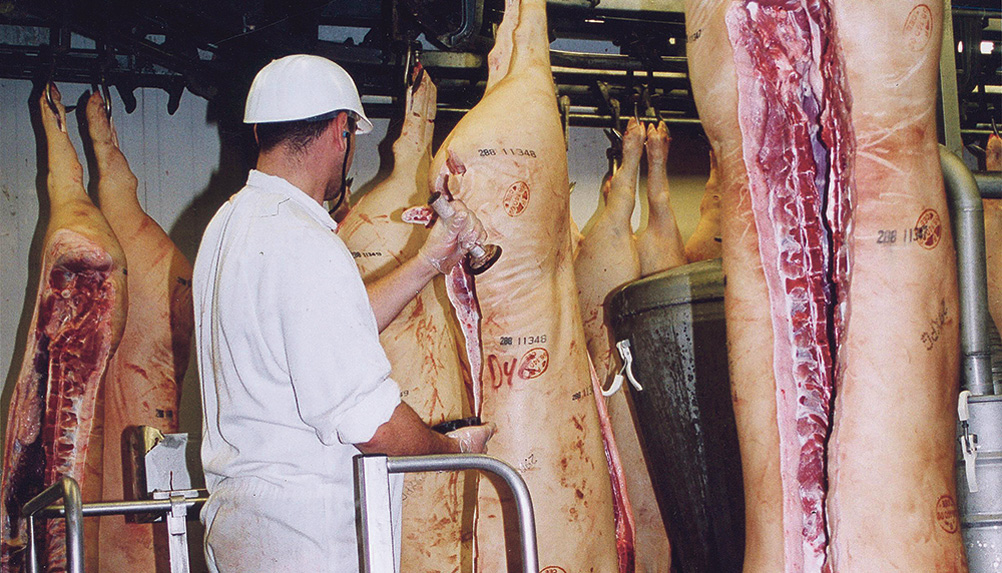 porc-abattoir-crp-embargo-russe - Illustration Covid-19: M. Guillaume n’exclut pas que tous les salariés d’abattoirs soient testés