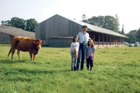 production-agricole-viande-bovine