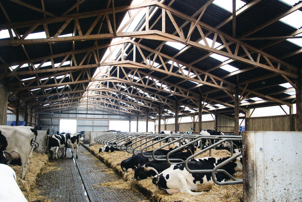 production-lait-batiment-neuf - Illustration Lait : un bâtiment neuf, simple et fonctionnel