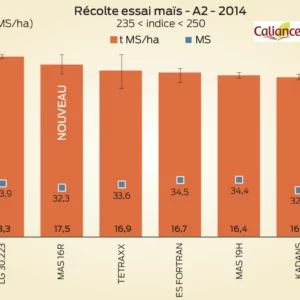 Récolte essai maïs - A2 - 2014