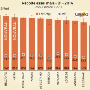 Récolte essai maïs - B1 - 2014