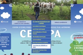 site-web-internet-cedapa-formation