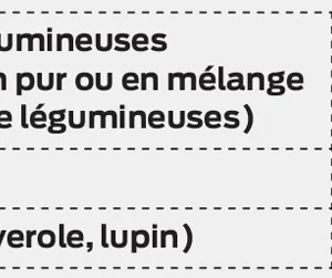 Les aides couplées offrent, pour certaines cultures, des opportunités