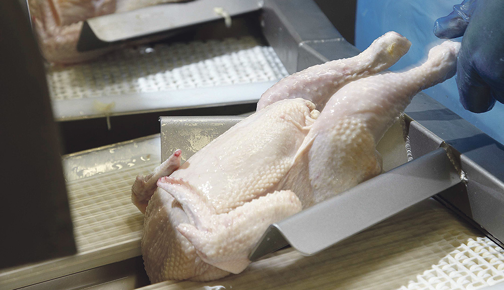 Photo of Tilly-Sabco : « Le poulet export le bec dans l’eau »