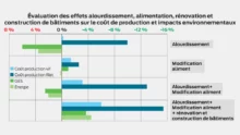 volaille-shema-production-aviculture-ovali