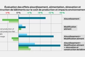 volaille-shema-production-aviculture-ovali