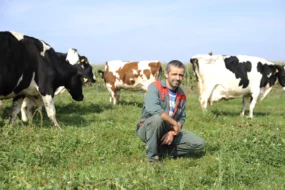 yann-rolland-prairie-herbe-allaitante