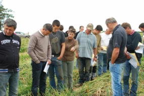 agriculteur-echalotte-menhir-legume-plouescat