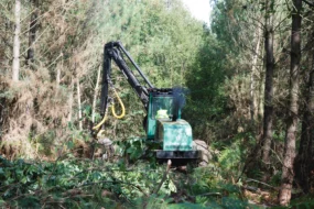 breizh-foret-bois-reboissement-essence-productive-bretagne