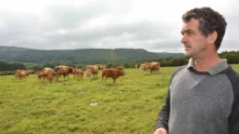 bretagne-viande-bio-bovine
