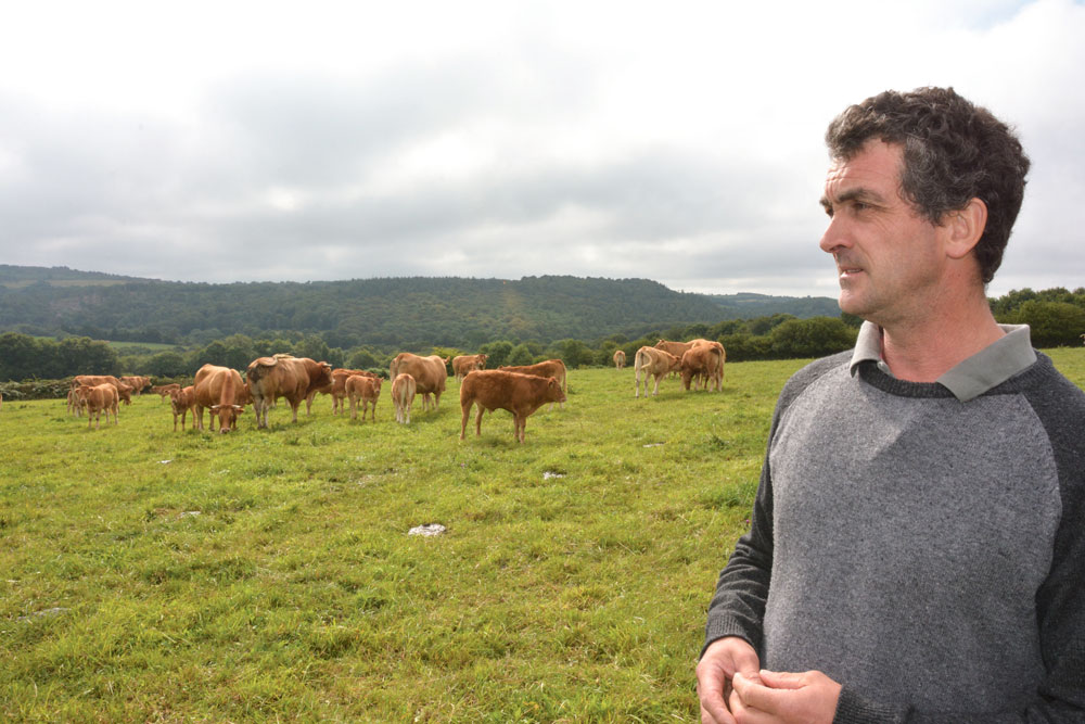 bretagne-viande-bio-bovine - Illustration Produire bio pour se réapproprier le commerce