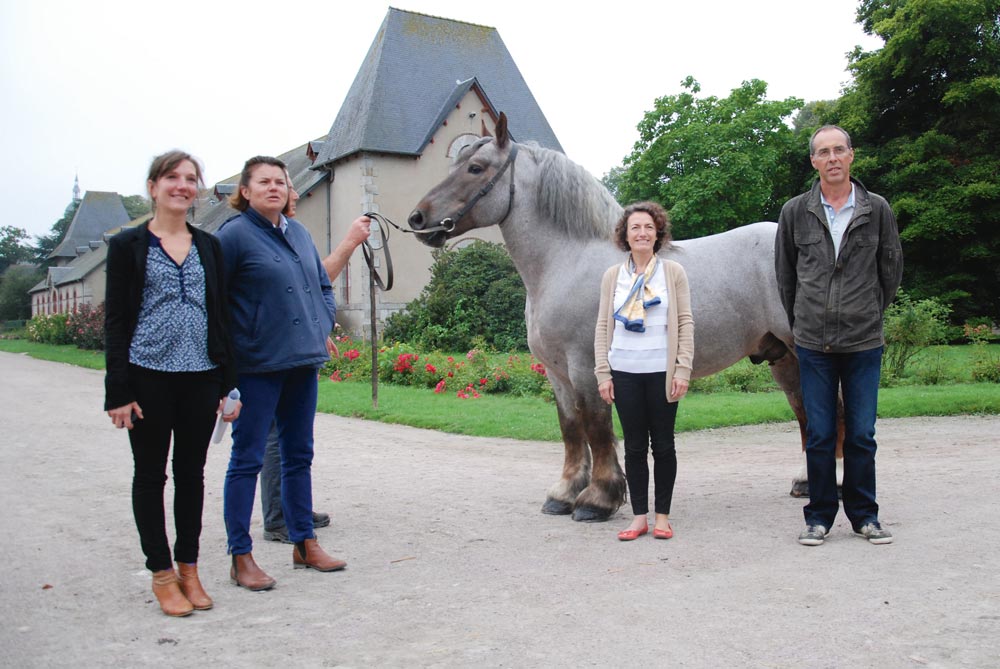 Photo of L’élite du Trait breton au départemental