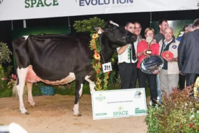 cendrillon-space-2015-championne-prim-holstein