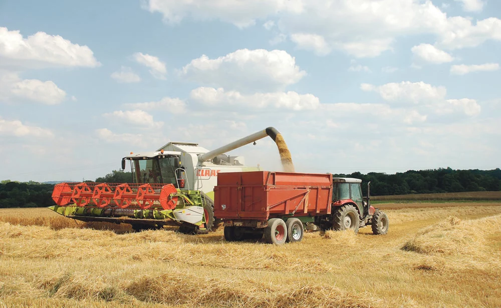 cereale-colza-orge-moisson-est-bretagne - Illustration Moisson 2016 : un bilan “catastrophique”