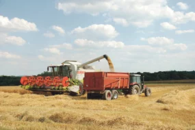 cereale-colza-orge-moisson-est-bretagne