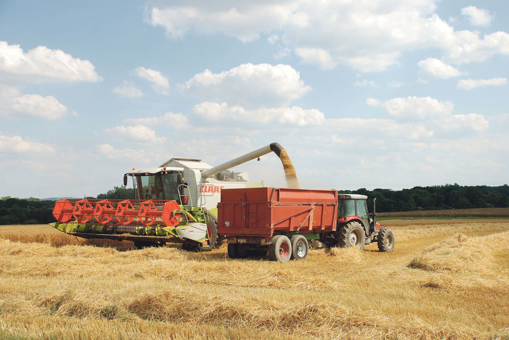 Photo of Mauvaise récolte : les PME du commerce agricole demandent des mesures d’urgence