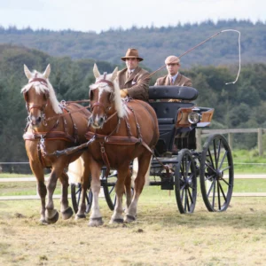 Championnats de France d’attelage de chevaux de trait et de Trec