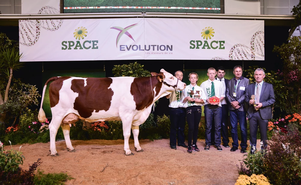 concours-bovin-space-2015-montbeliarde - Illustration Space : Fistuline, vache moderne et solide