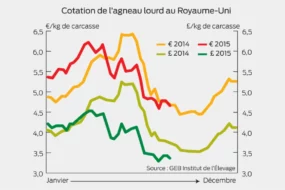 cotation-agneau-lourd-royaume-unis