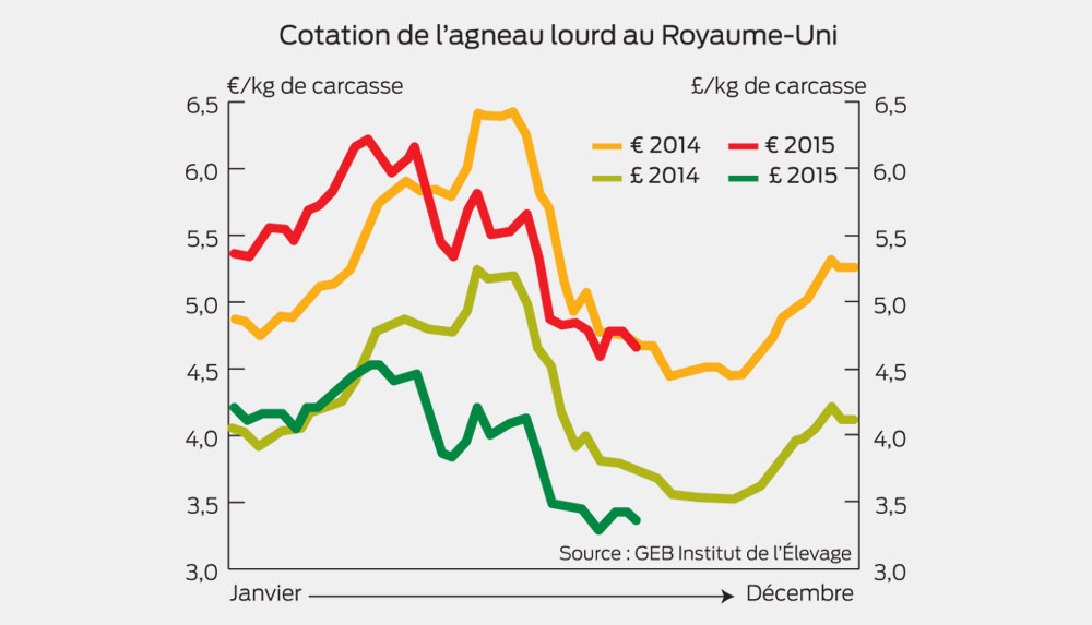 cotation-agneau-lourd-royaume-unis - Illustration Le cours de l’agneau britannique reste  sous pression