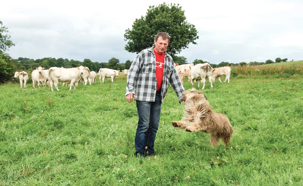 daniel-le-corre-alimentation-jeune-bovin-jb-enrubanne-herbe - Illustration JB : l’herbe, pilier de l’alimentation d’été