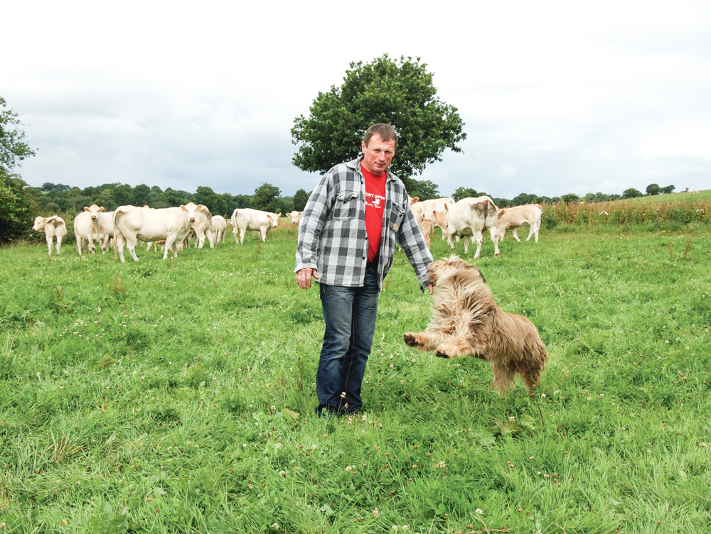 Photo of JB : l’herbe, pilier de l’alimentation d’été
