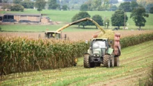 date-recolte-ensilage-mais