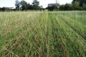 deux-journee-sol-formation-agronomie