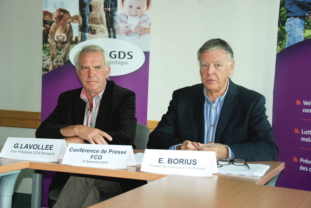 fco-depistage-animal-sante-eric-borius-gilles-lavollee - Illustration La FCO sous surveillance