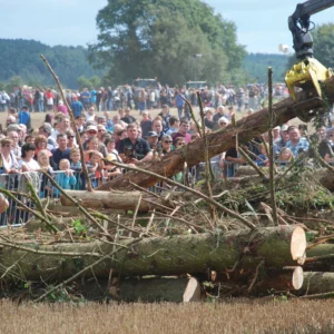 Le broyage des troncs de bois est une attraction impressionnante