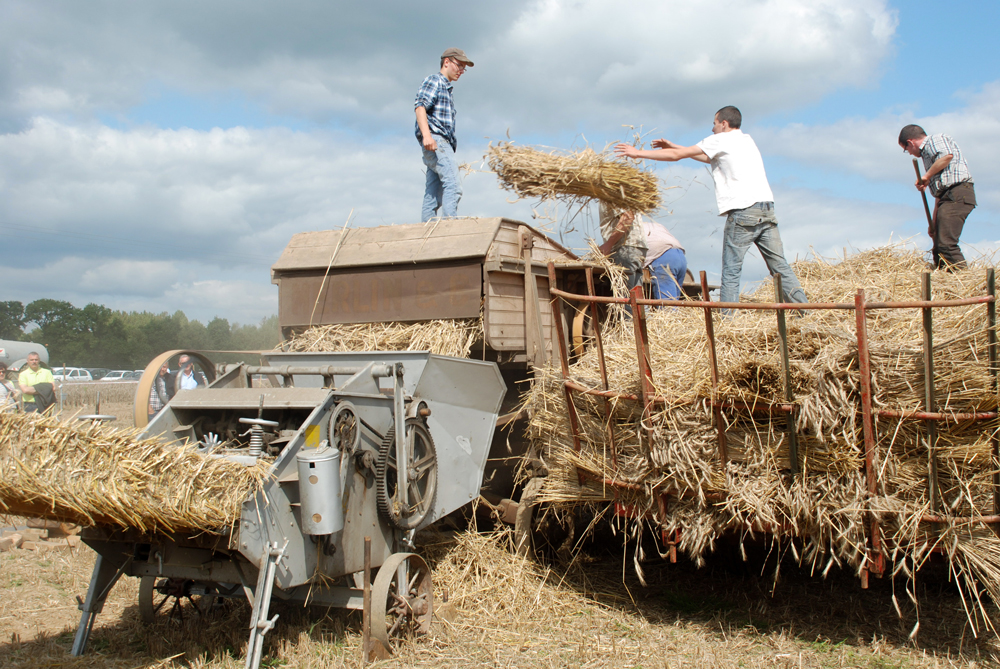 jeune-agriculteur-fete-agriculture-kernascleden - Illustration 10 000 visiteurs à la fête de l’Agriculture
