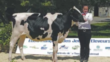 lycee-la-touche-ploermel-concours-bovin-preparation-animaux