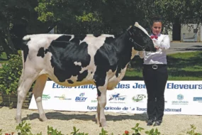 lycee-la-touche-ploermel-concours-bovin-preparation-animaux