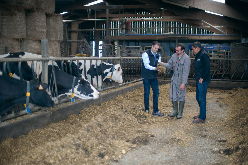 minguy-eric-ploumoguer-lait-digestion-vache-alimentation - Illustration Quand les vaches digèrent bien, je gagne du temps