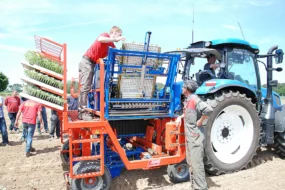 plantation-choux-fleur-cleder-planteuse-automatique-producteur