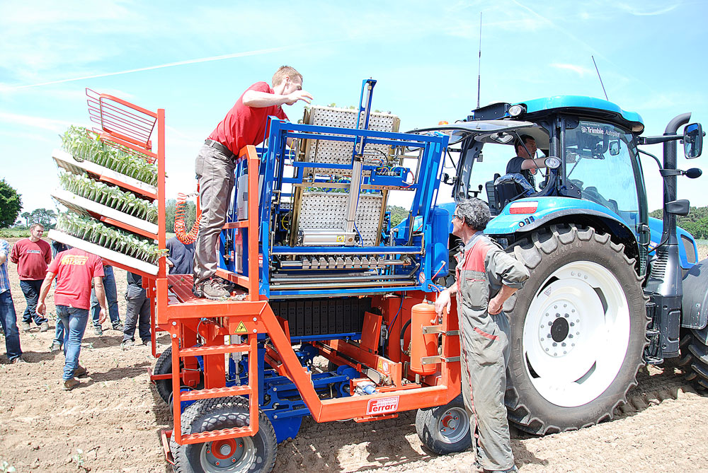 plantation-choux-fleur-cleder-planteuse-automatique-producteur - Illustration La plantation des choux s’automatise