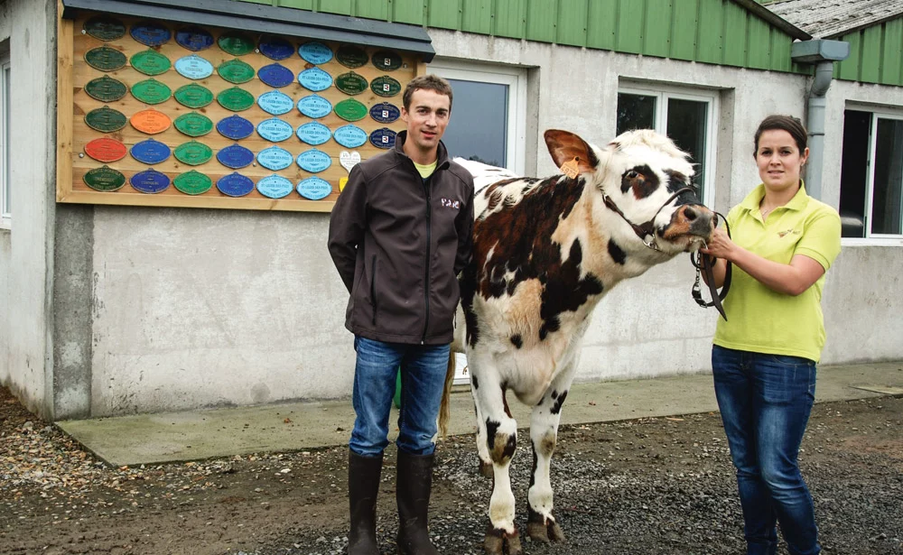 aurelien-guyot-melodie-horvais-lait-ohhh-la-vache-pontivy-genisse-normande - Illustration Les génisses normandes font leur show à Pontivy